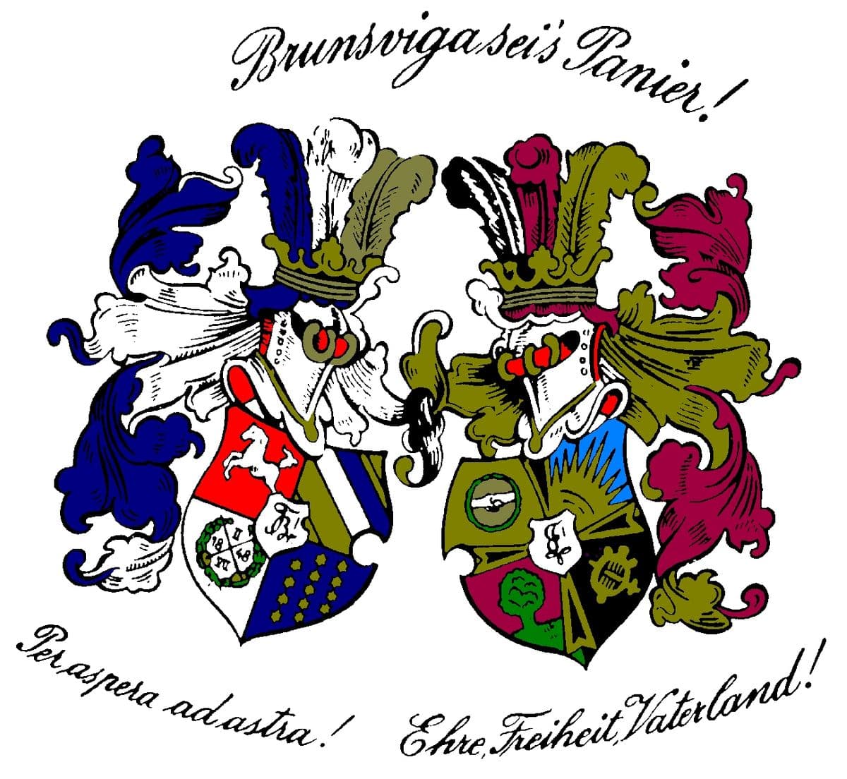 Wappen der B! Brunsviga